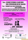 24 Octubre Desfile Perros en ADOPCION y CONCURSO! - mejor precio | unprecio.es