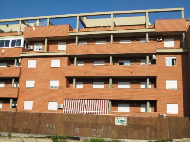 Bajo en Arganda del Rey