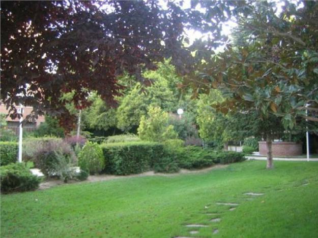 Piso en Pozuelo de Alarcón