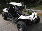 Buggy Buggy PGO 500i en Tarragona - mejor precio | unprecio.es