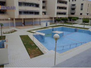 Apartamento en alquiler en Roquetas de Mar, Almería (Costa Almería)