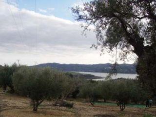 Solar/Parcela en venta en Viñuela, Málaga (Costa del Sol)