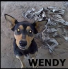 ADOPTA A WENDY - mejor precio | unprecio.es