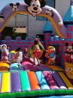 Alquiler de castillos Hinchables Comuniones, Bodas; Cumpleaños, Colegios ... - mejor precio | unprecio.es