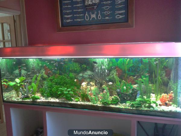 Acuario completo