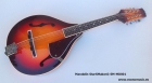 Mandolín StarSMaker® SM-MD001 - mejor precio | unprecio.es