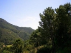 Terreno se vende en Benahavis, Costa del Sol - mejor precio | unprecio.es