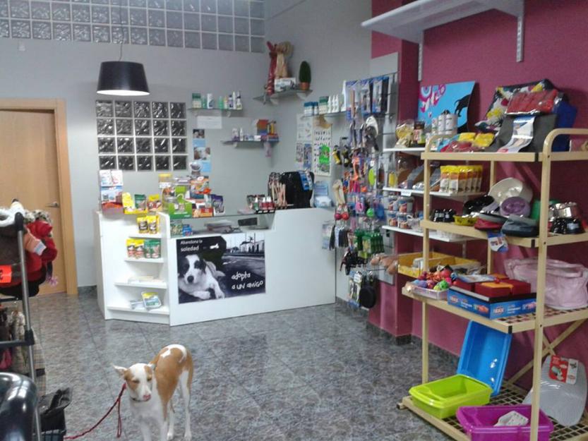 Traspaso de peluqueria canina y tienda