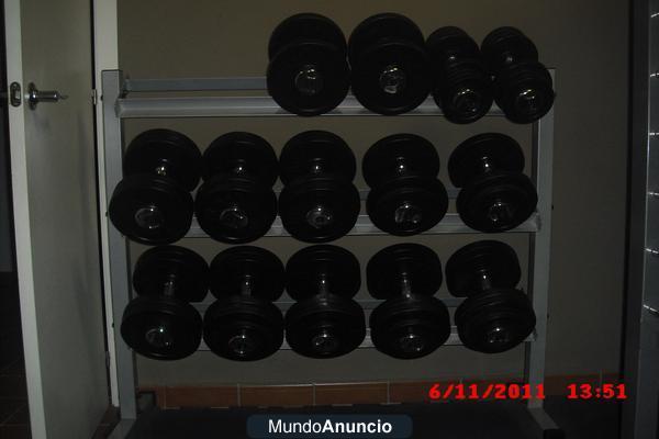 APARATOS DE MUSCULACION PROFESIONALES