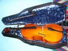 cello 4/4 Strunal seminuevo - mejor precio | unprecio.es