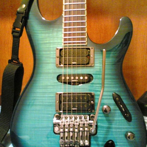 electro-luthier