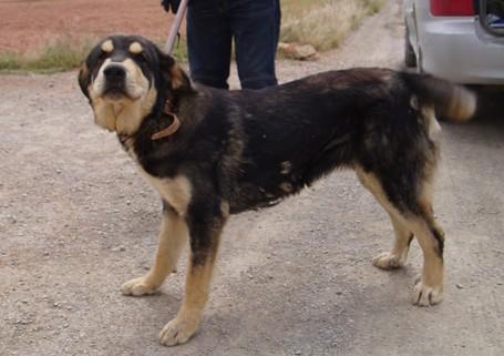 ENCONTRADA EN BÉTERA