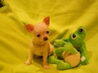 DIMINUTA HEMBRA DE CHIHUAHUA - mejor precio | unprecio.es