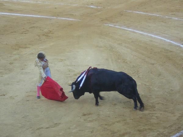 por la puerta grande