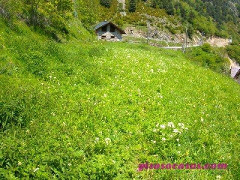 Venta de solar en Venta De Solar Parcela Urbana En Zona De Bielsa Va, Bielsa (Huesca)