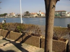 Estudio : 2/2 personas - piscina - agde herault languedoc-rosellon francia - mejor precio | unprecio.es