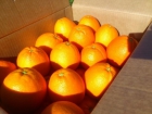 naranjas a domicilio - mejor precio | unprecio.es
