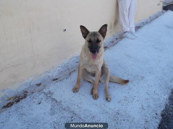 SANDY esta sobreviviendo en la calle más de 4 meses.