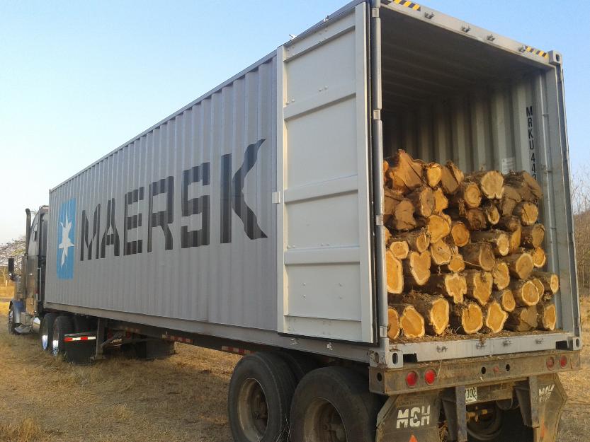 Buscamos pequeños, medianos y grandes inversores para exportar madera
