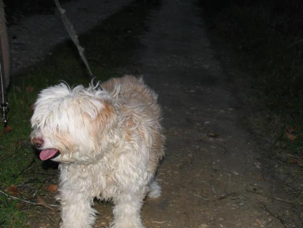Polca, 9 años
