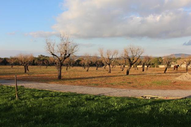 Terreno/Finca Rstica en venta en Manacor, Mallorca (Balearic Islands)