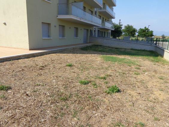 Bajo en Figueres