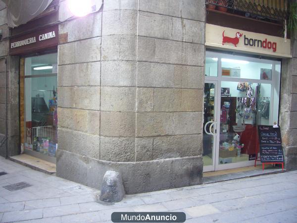 Paseo de perros/Pienso a domicilio/Peluqueria canina