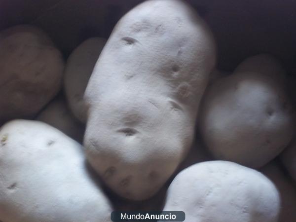 Se venden patatas en Burgos