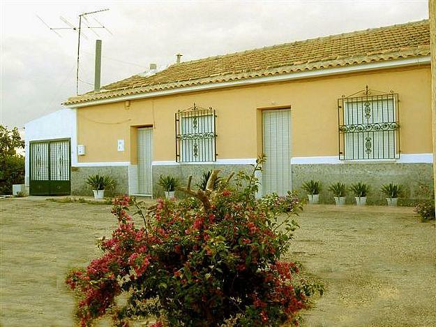 Finca rústica en Orihuela