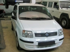 Fiat PANDA 1.2 DYNAMIC 60cv '04 en venta en Palma De Mallorca - mejor precio | unprecio.es