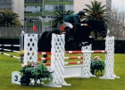 CABALLO DE SALTO MUY TRANQUILO - mejor precio | unprecio.es