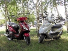 Scooter 125cc - QINGQI QM125T 10V - mejor precio | unprecio.es