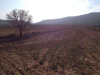 Terreno/Finca Rstica en venta en Encebras, Alicante (Costa Blanca)