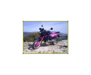 KAWASAKI KLE500