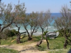 Apartamento en villa : 4/4 personas - bidart pirineos atlanticos aquitania francia - mejor precio | unprecio.es