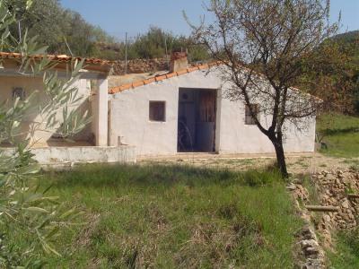 in Jarafuel,  Valencia And Costa del Azahar   - 54000  EUR