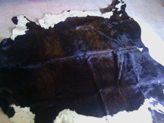 Se vende piel Curtida  -única- 4 m2 para decoración