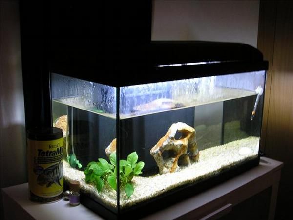 VENDO ACUARIO 60 lt VENDO