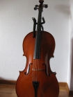 violoncello violonchelo 4/4 - mejor precio | unprecio.es