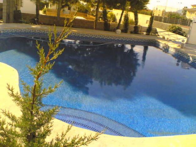 Chalet con Parcela de 2000m2 en Albatera (ALICANTE) con PISCINA y local de 80m2