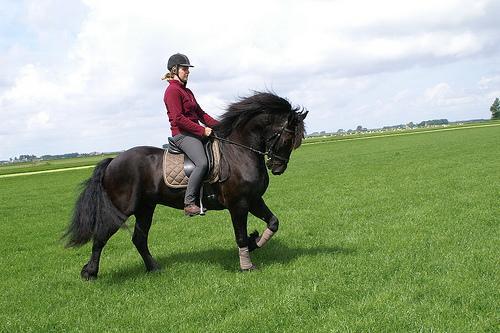 PENDIENTES CASTRADOR FRISON CABALLO