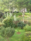 Apartamento en residencia : 4/7 personas - junto al mar - bormes les mimosas var provenza-alpes-costa azul francia - mejor precio | unprecio.es