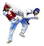 Taekwondo en Malaga, Zona San Julian, Guadalmar, Churriana