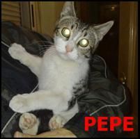 ADOPTA A PEPE