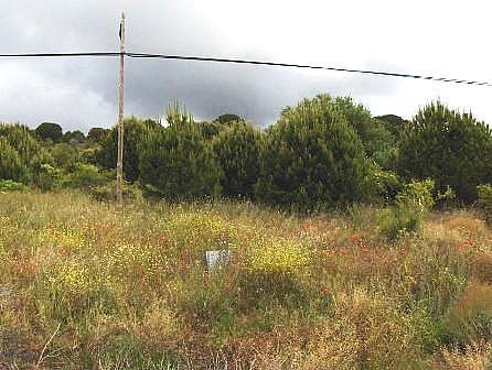 Finca rústica en San Martín de Valdeiglesias