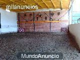 CENTRO ECUESTRE GANADOS ARANGO