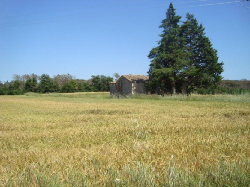 Masia para restaurar de 220m2 y 1 hectárea de terreno en sils ref:2384