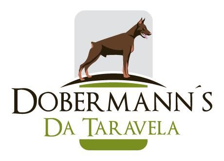 Dobermann. Excelente camada