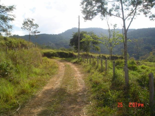 Viendo tierras altas los bosques de selva tropical en Brasil