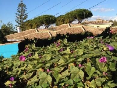 Chalet con 1 dormitorio se vende en Marbella, Costa del Sol